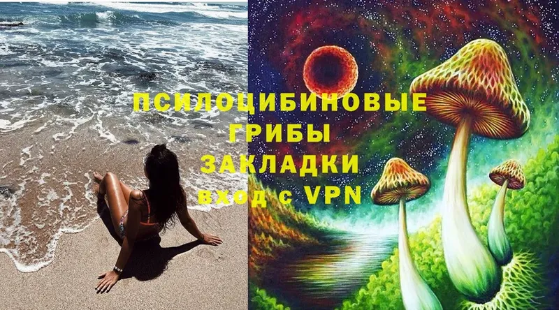 Псилоцибиновые грибы Magic Shrooms  Партизанск 